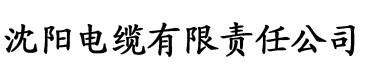 51影视电缆厂logo